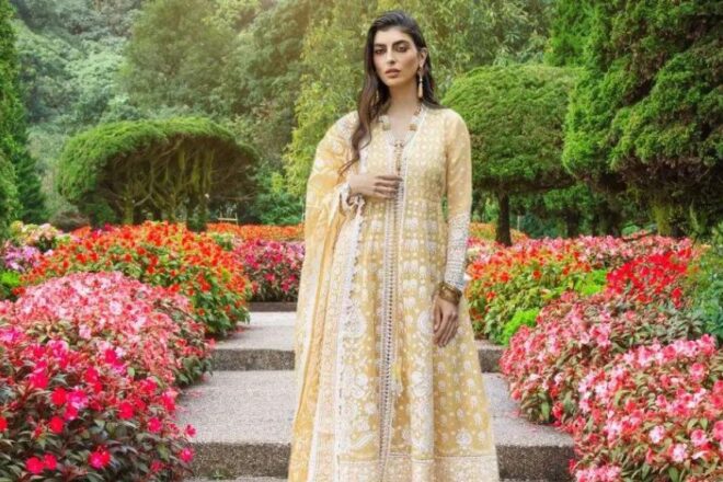 20 Top Lawn Brands in Pakistan