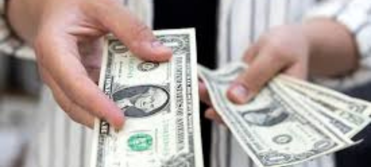 The Dollar Rises but is Expected to Decline this Week